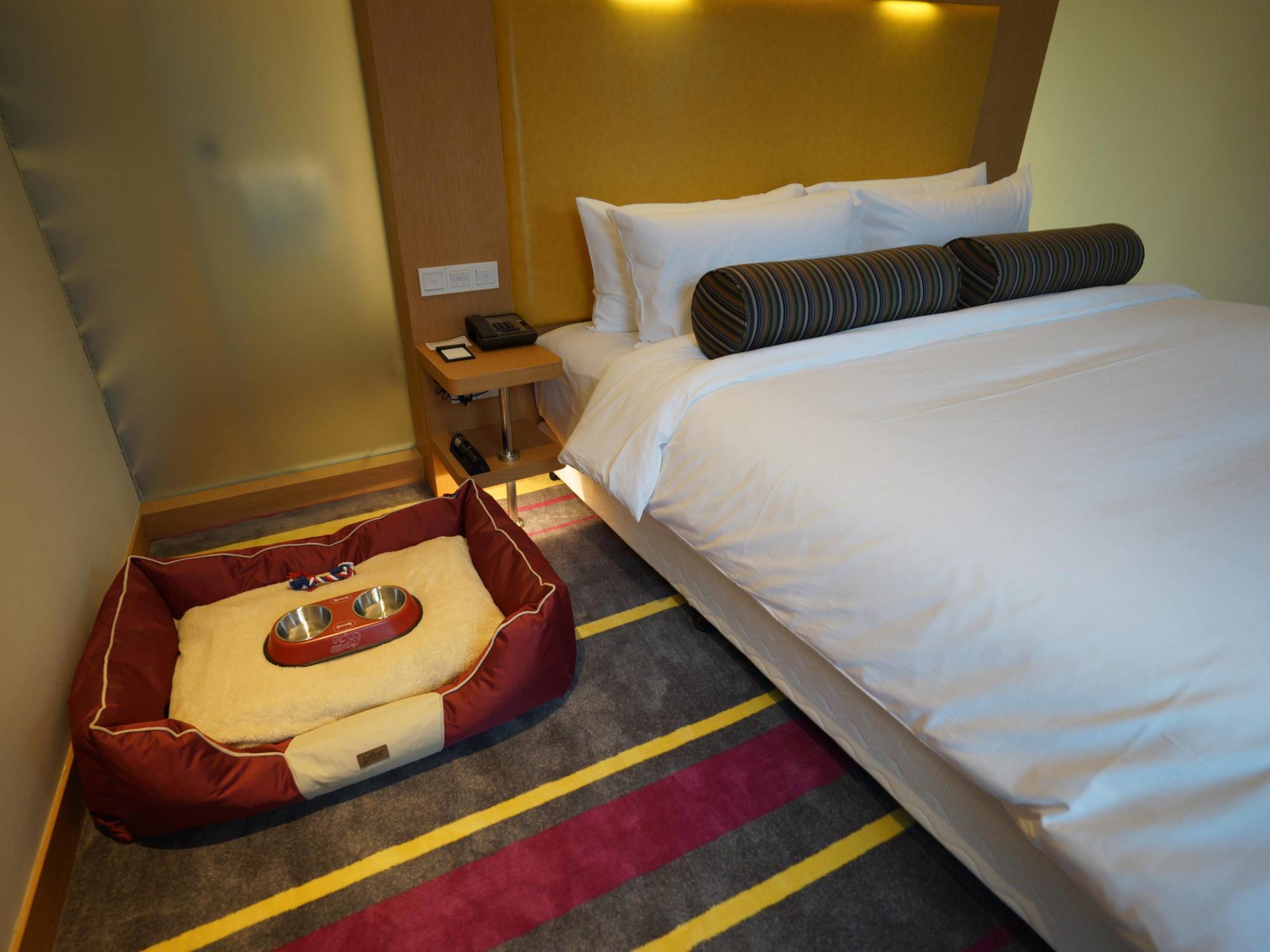 Aloft Dynamic Town Hotell Shenzhen Eksteriør bilde